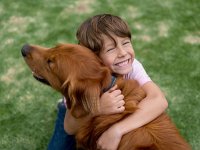 Schopnost rodičů předškolních dětí správně identifikovat potenciálně nebezpečné interakce mezi dětmi a psy