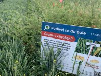 Podívej se do pole, CropLifeCZ