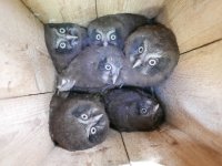Studentská soutěž o Cenu Zdeňka Veselovského