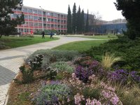 Komentovaná procházka kampusem ČZU ke Dni architektury