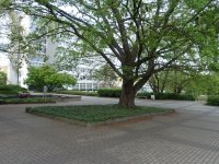 Komentovaná procházka kampusem ČZU ke Dni architektury