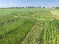 Publikace vědců FAPPZ vyšla v časopise Science