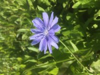 Publikace vědců FAPPZ vyšla v časopise Science