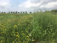 Publikace vědců FAPPZ vyšla v časopise Science