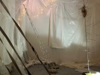 Úspěch studentek Katedry zahradní a krajinné architektury na mezinárodní přehlídce Pokoje 2025