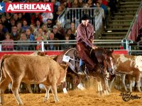 American Quarter Horse