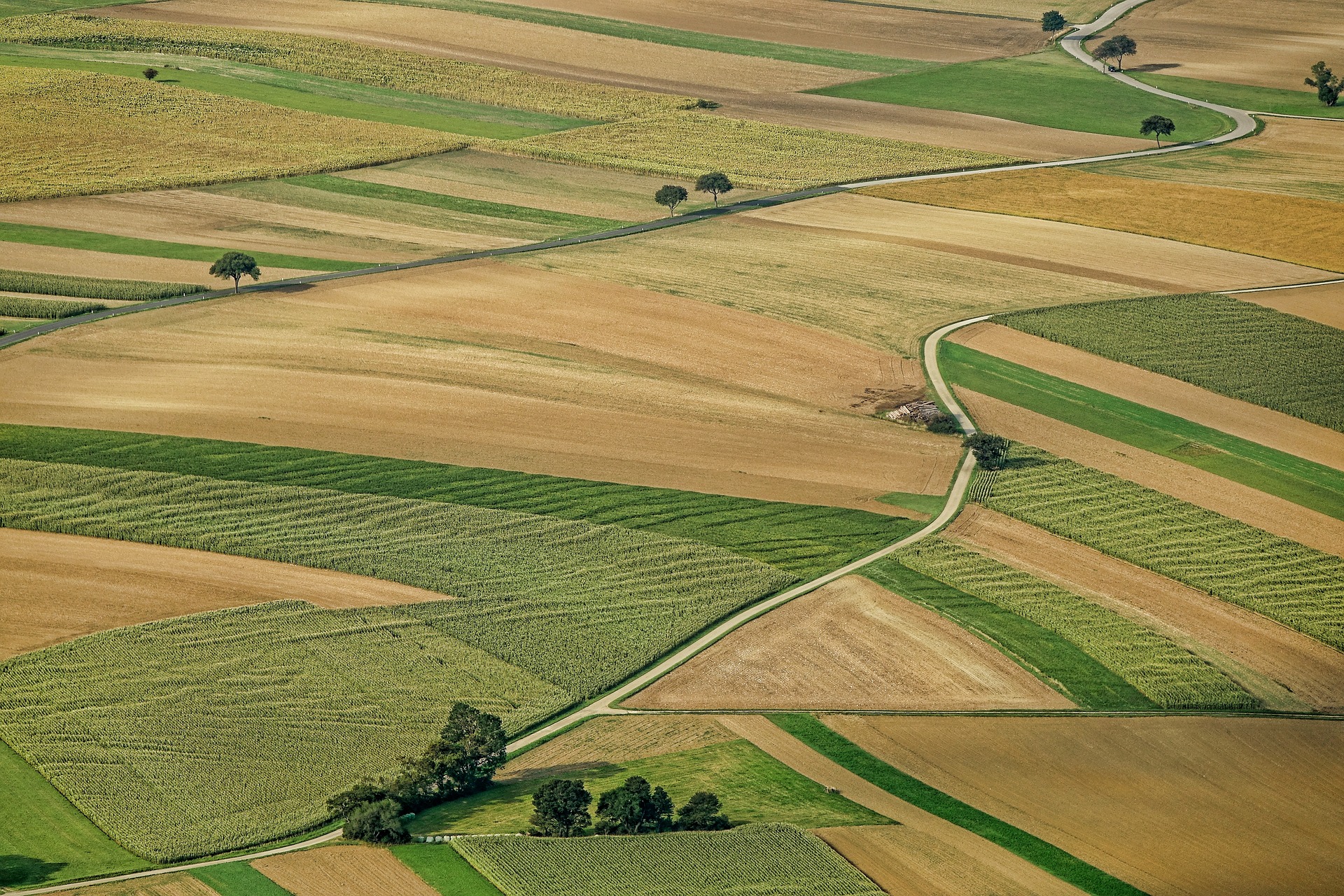Natural Resources Management and Ecological Engineering